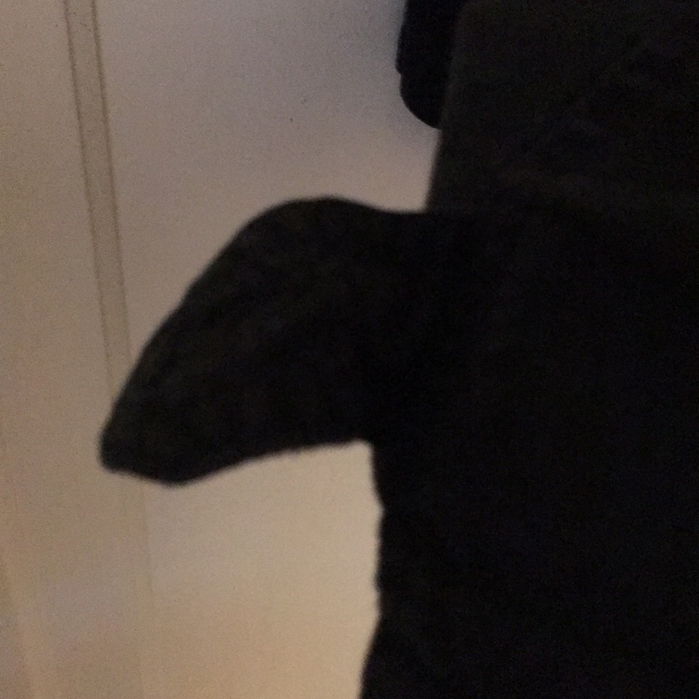 Button Down Jacket - Picture 4 of 4
